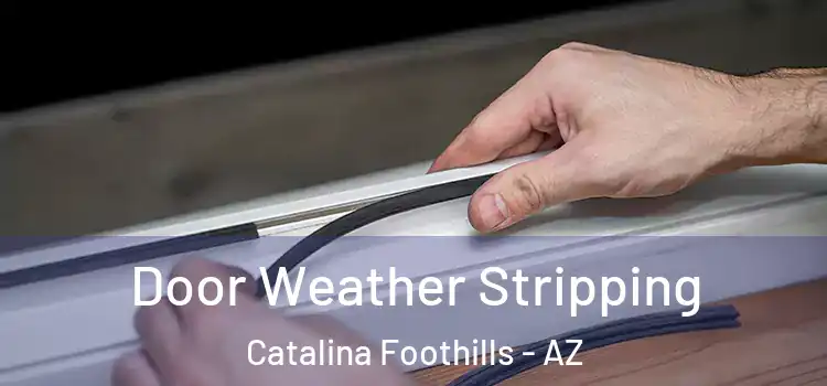  Door Weather Stripping Catalina Foothills - AZ