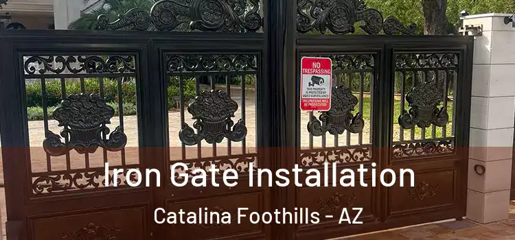  Iron Gate Installation Catalina Foothills - AZ