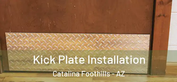  Kick Plate Installation Catalina Foothills - AZ