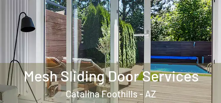Mesh Sliding Door Services Catalina Foothills - AZ