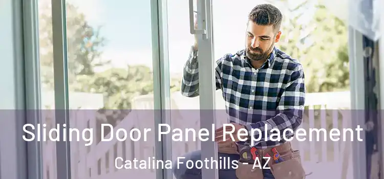  Sliding Door Panel Replacement Catalina Foothills - AZ