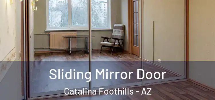  Sliding Mirror Door Catalina Foothills - AZ